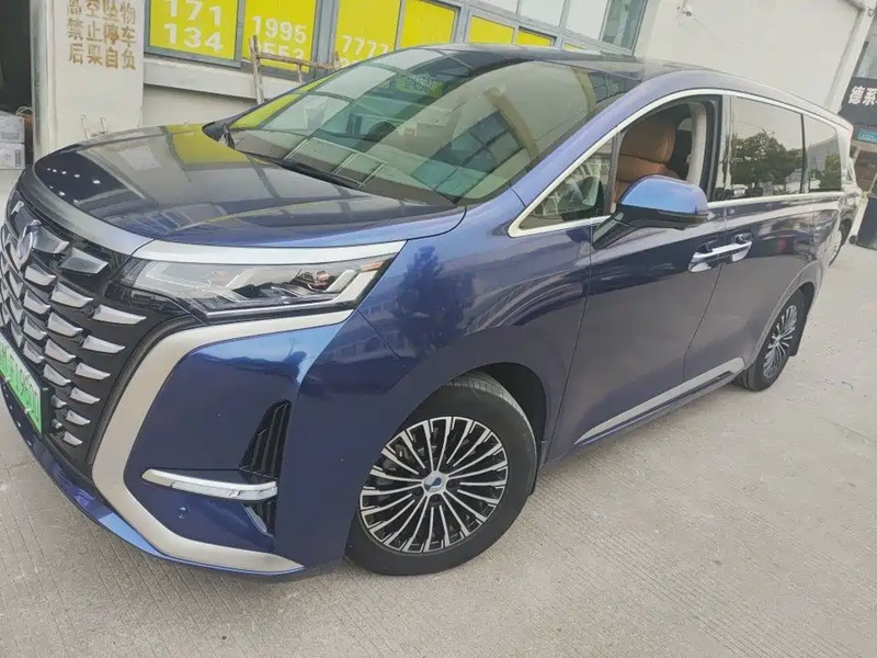 Denza D9