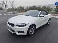BMW 2 Series 2019