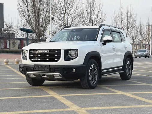Haval Big Dog 2022