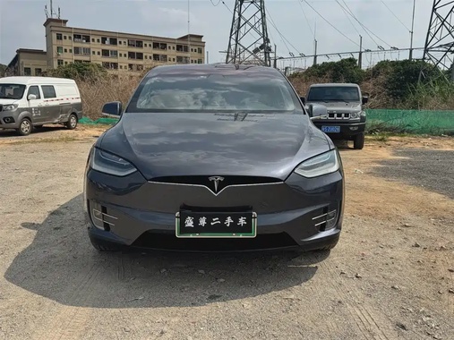 Tesla Model X 2021