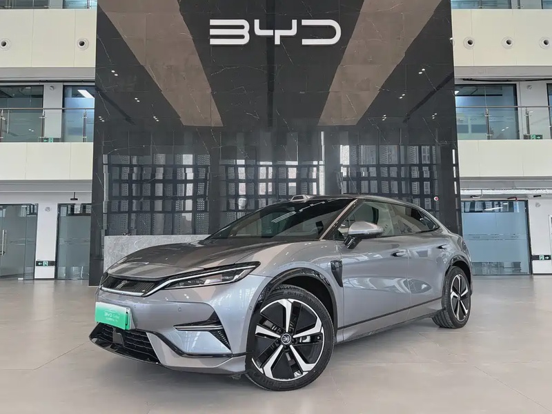 BYD L