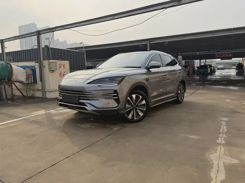 BYD PLUS