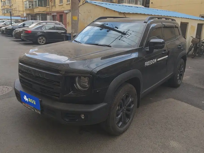 Haval Big Dog