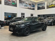 BMW X6 2022