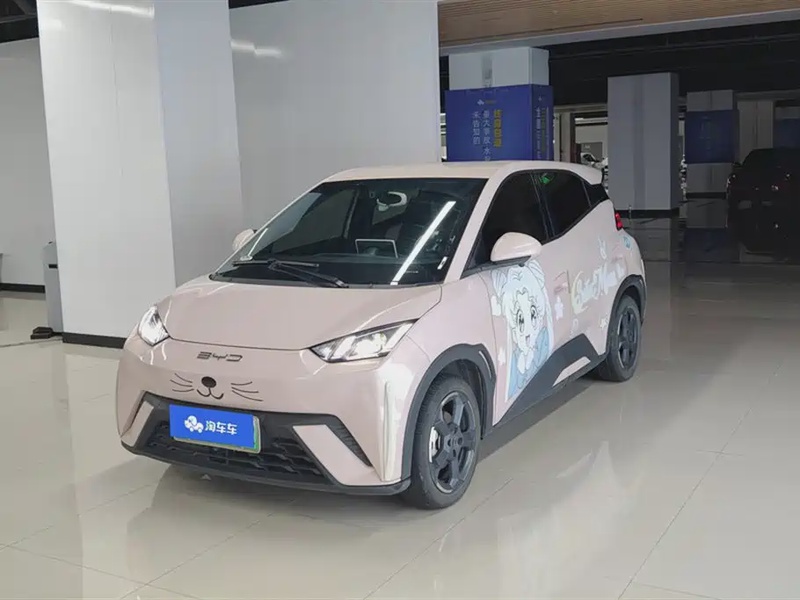 BYD Seagull