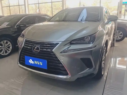 Lexus NX 2021