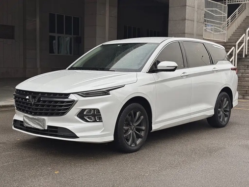 Wuling Victory 2021