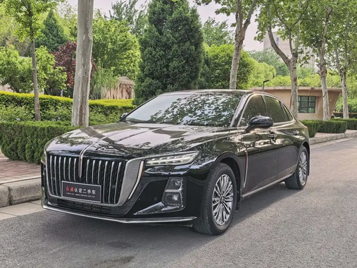 Hongqi H5 2024