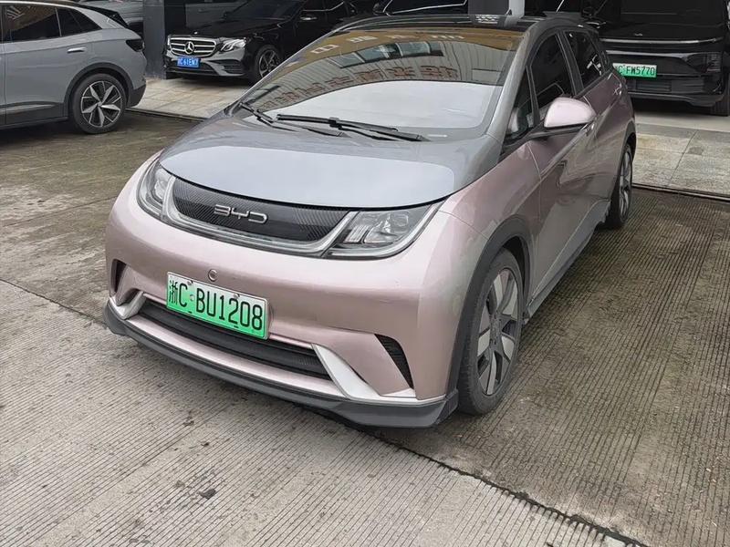 BYD Dolphin