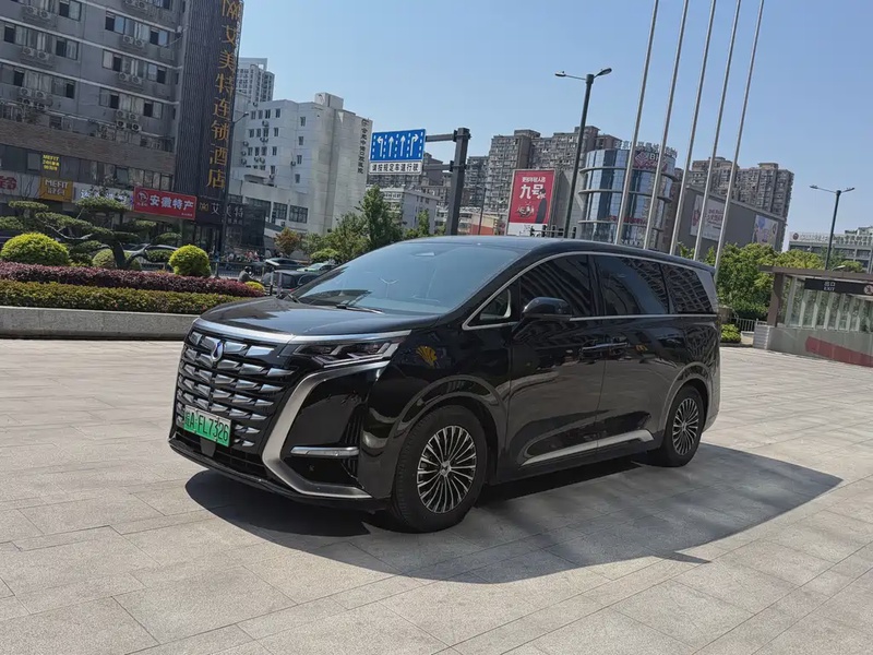 Denza D9