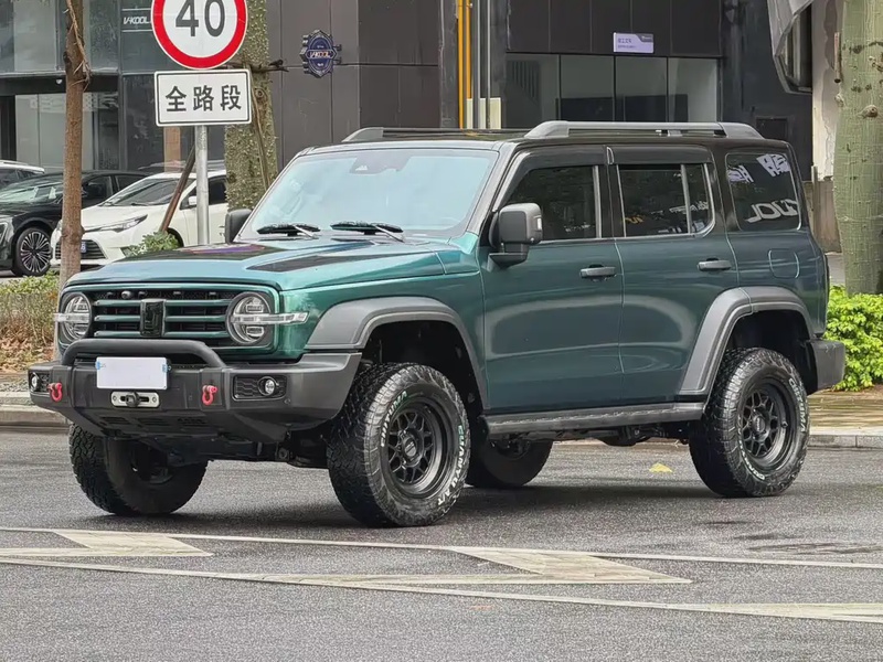 Tank 300