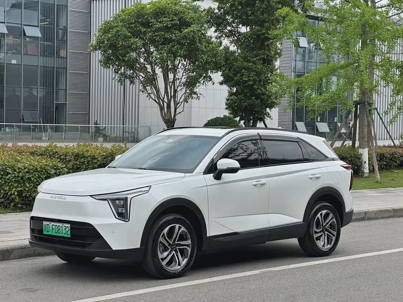Haval Xiaolong