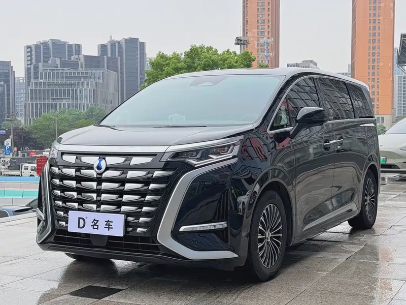Denza D9