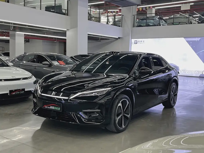 BYD L