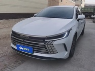 BYD Destroyer 2024