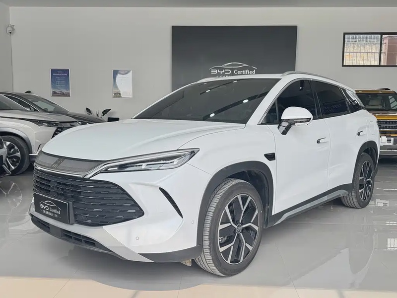 BYD L