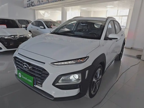 Hyundai Encino 2019