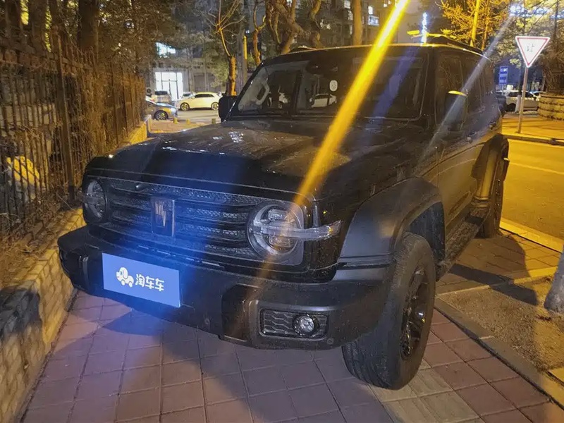 Tank 300