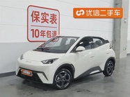 BYD Seagull 2024