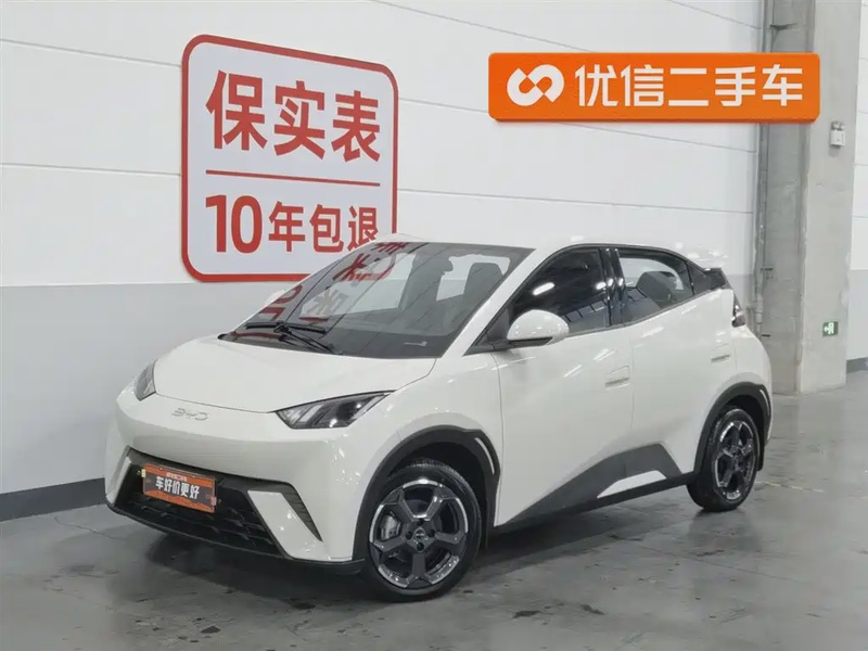 BYD Seagull