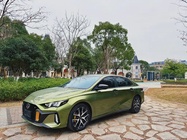 GAC Shadow Leopard 2022