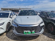 BYD Surui 2025