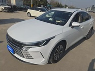 BYD Destroyer 2024