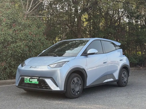 BYD Seagull 2024