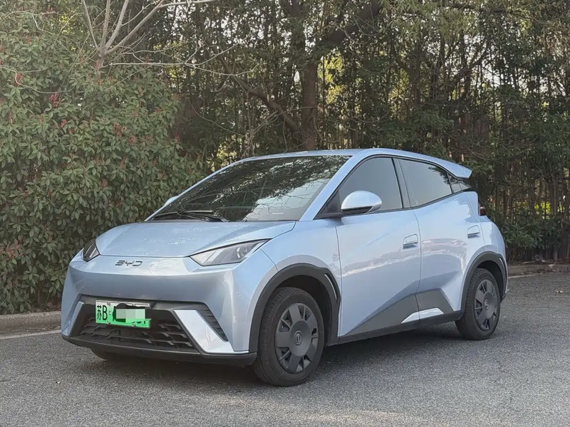 BYD Seagull
