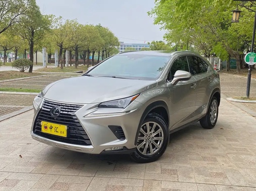 Lexus NX 2020