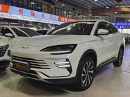 BYD PLUS 2024