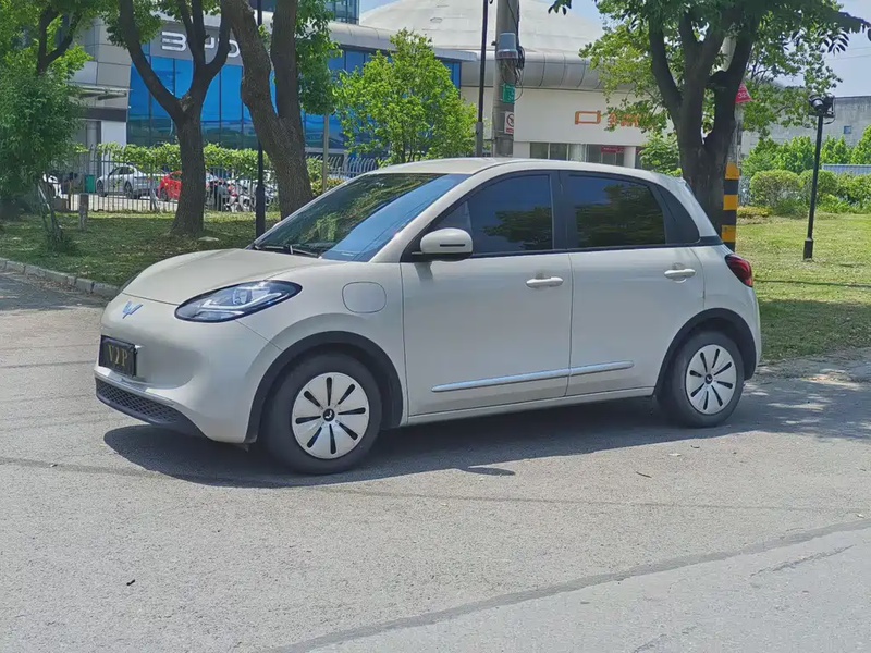 Wuling Bingo