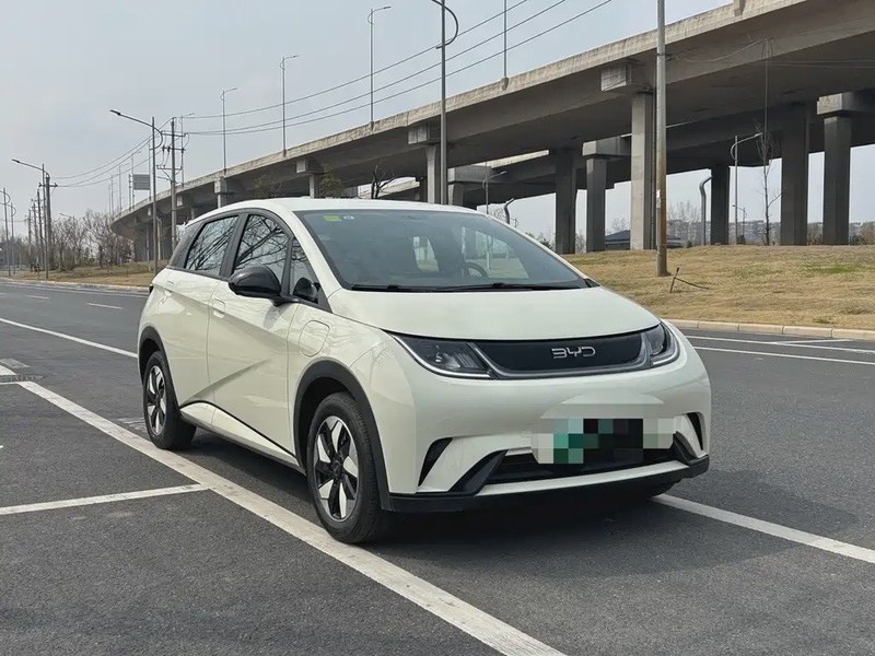 BYD Dolphin