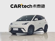 BYD Seagull 2024