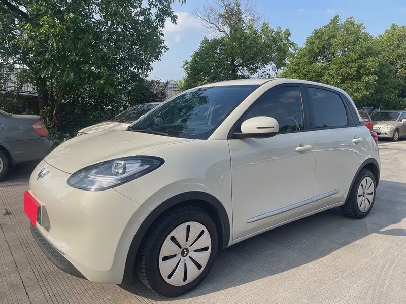 Wuling Bingo