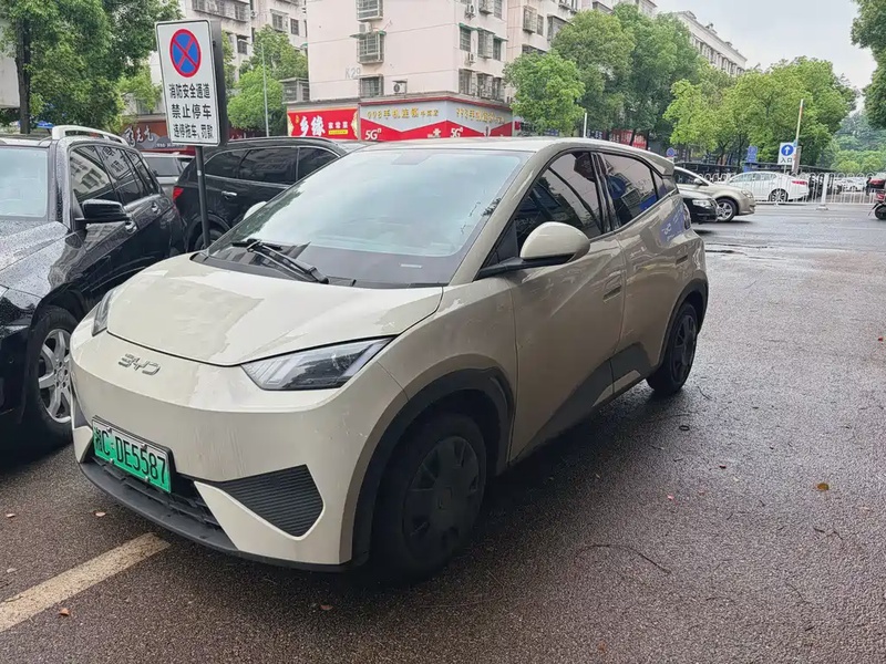 BYD Seagull