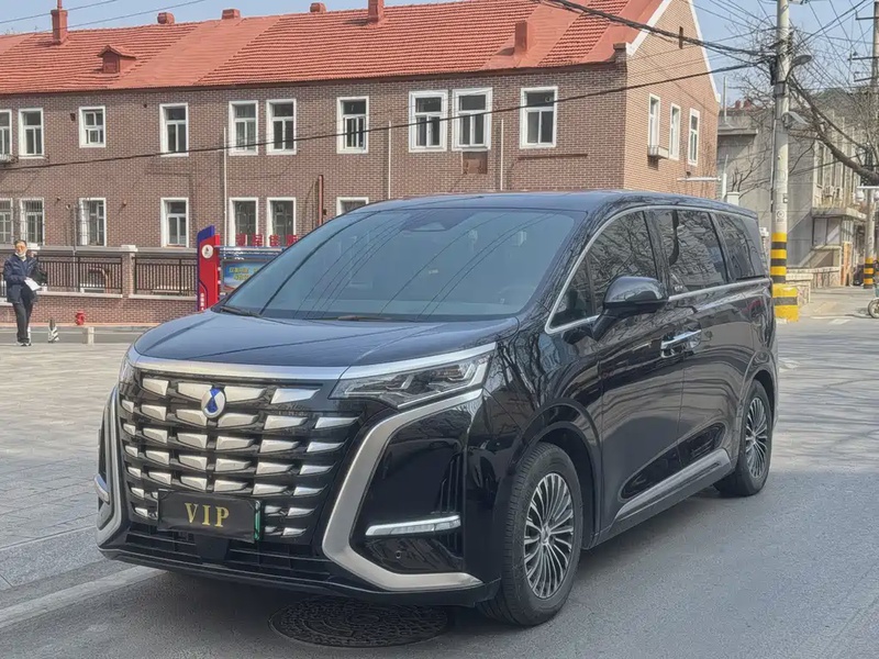Denza D9