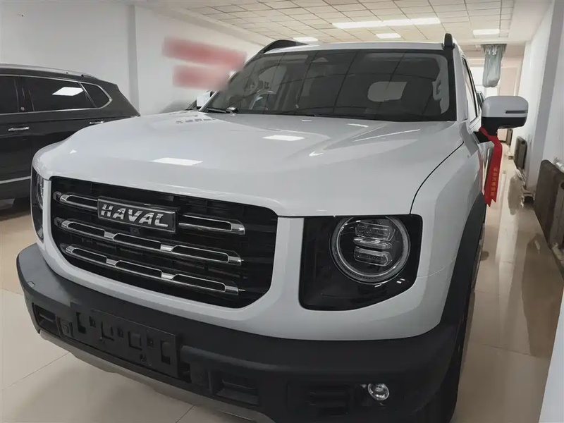 Haval Big Dog