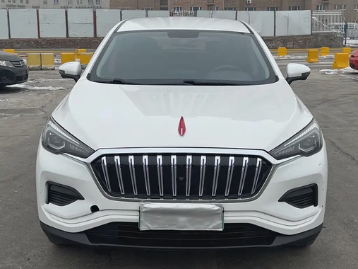 Hongqi E-HS3 2021