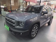 Haval Big Dog 2024