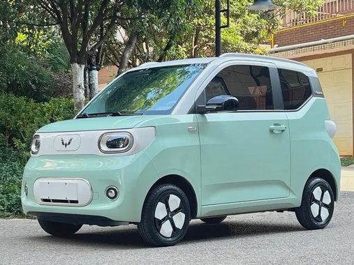 Wuling Mini 2024