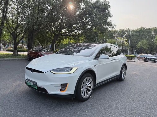 Tesla Model X 2019