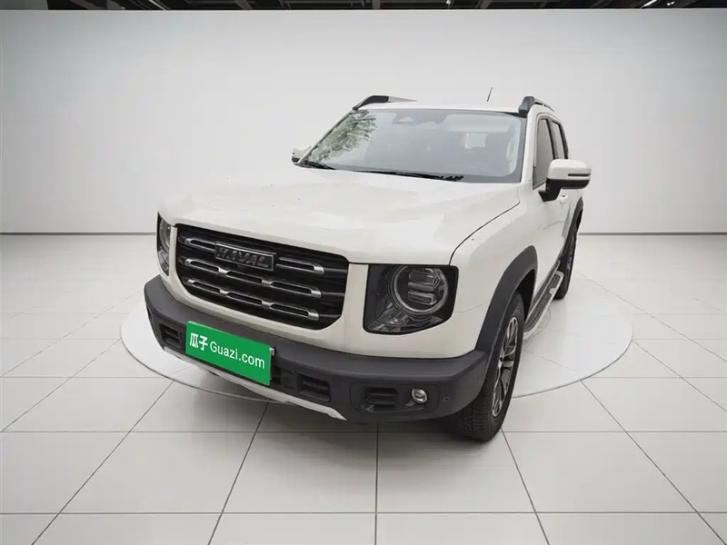 Haval Big Dog
