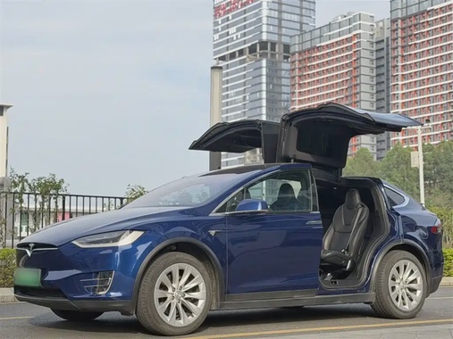 Tesla Model X 2019