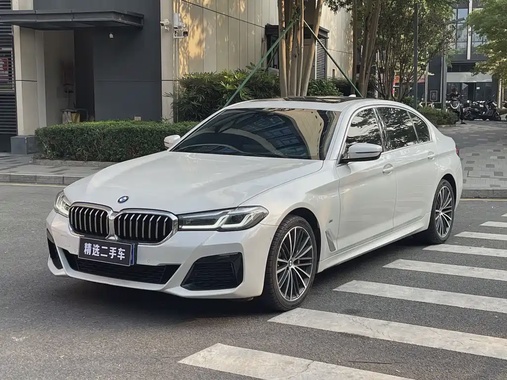 BMW 5 Series 2021