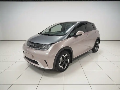 BYD Dolphin 2022
