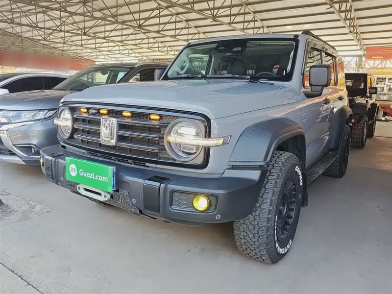 Tank 300