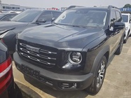 Haval Big Dog 2023