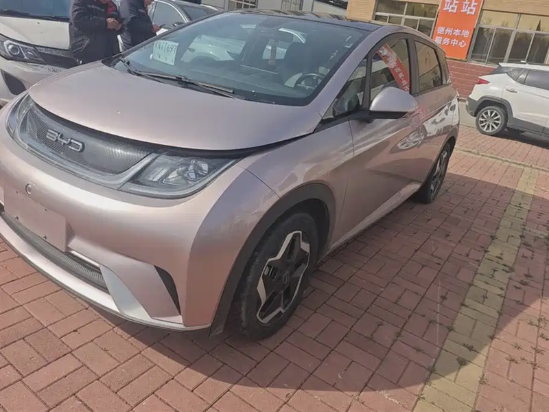 BYD Dolphin