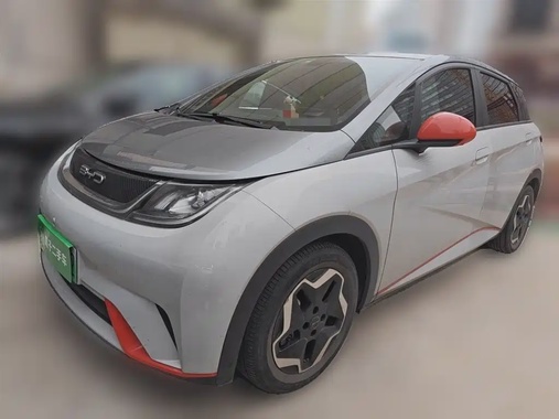 BYD Dolphin 2021